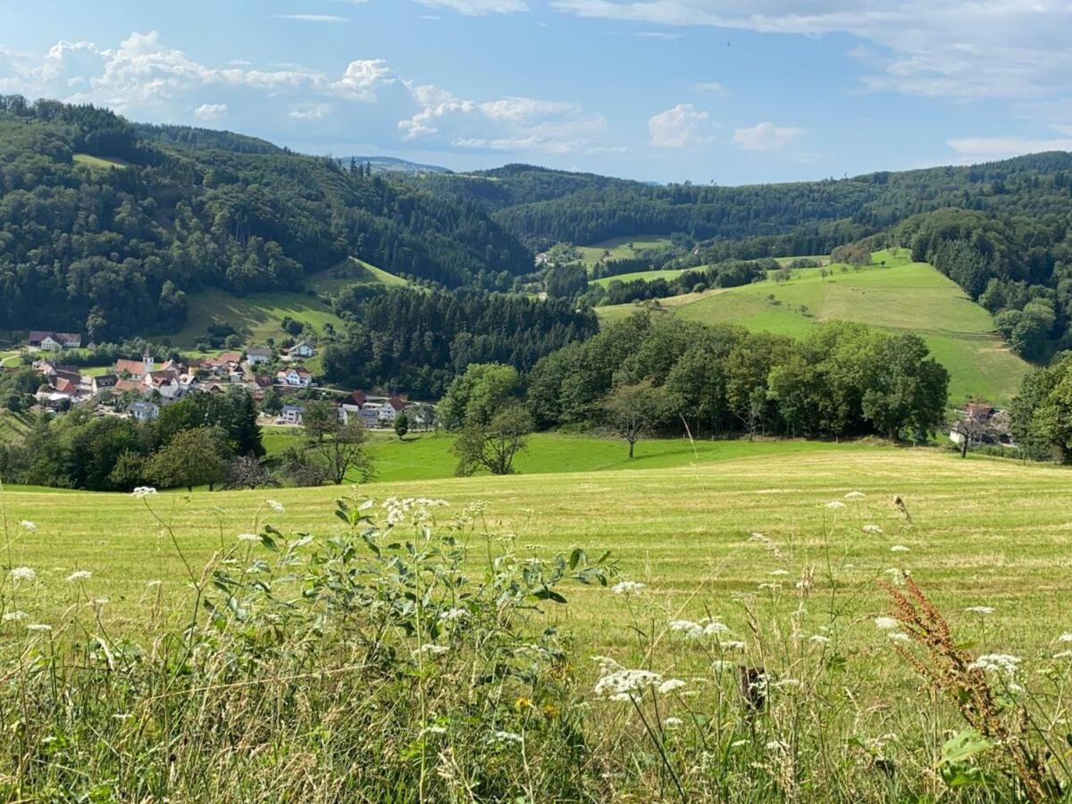 Ferienwohnung Auszeit Freiamt Exteriér fotografie